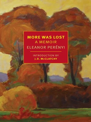 cover image of More Was Lost